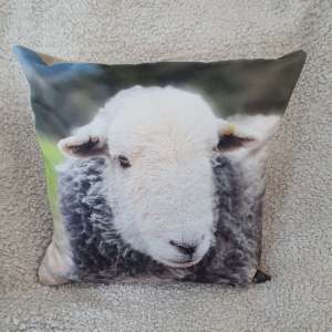 Herdwick Sheep cushion